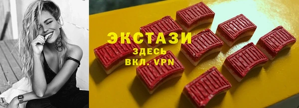 гашик Козельск