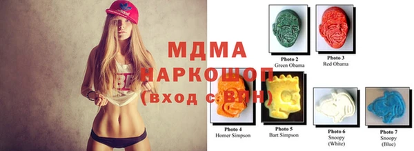 гашик Козельск
