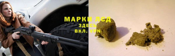 гашик Козельск