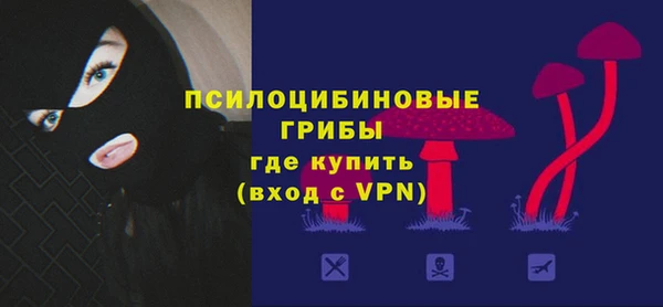 гашик Козельск