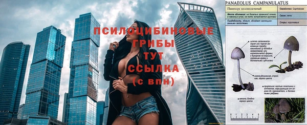 ешки Кодинск