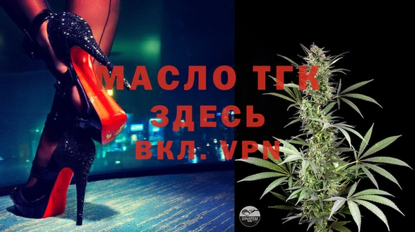 гашик Козельск