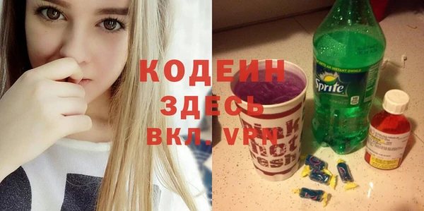 сатива Козловка